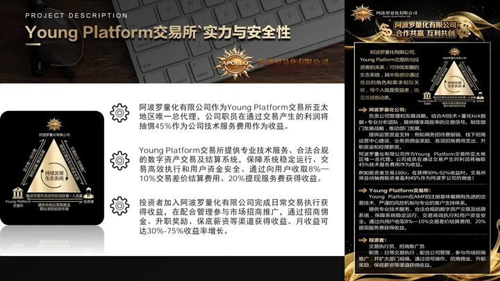 企业简章第7页